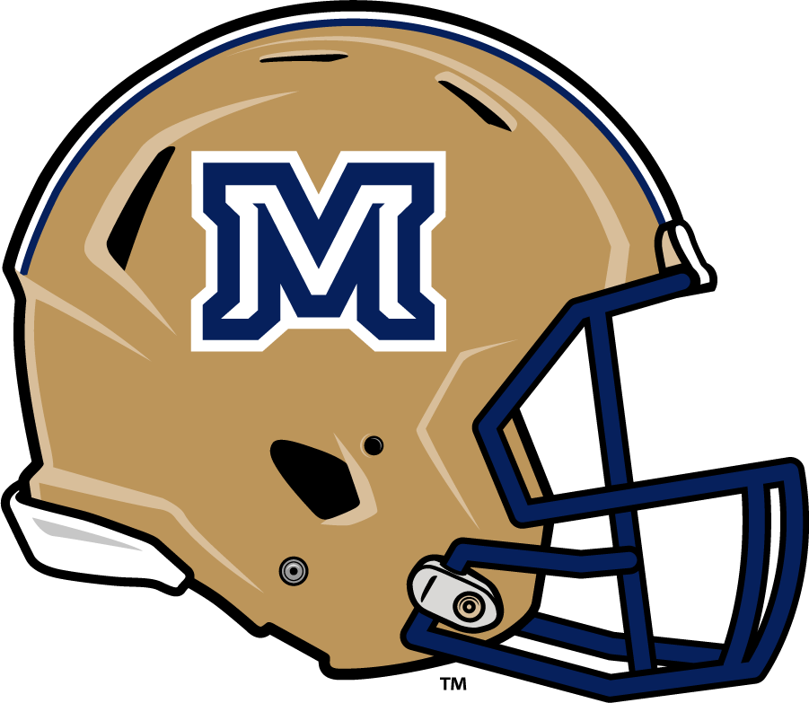 Montana State Bobcats 2013-Pres Helmet Logo diy DTF decal sticker